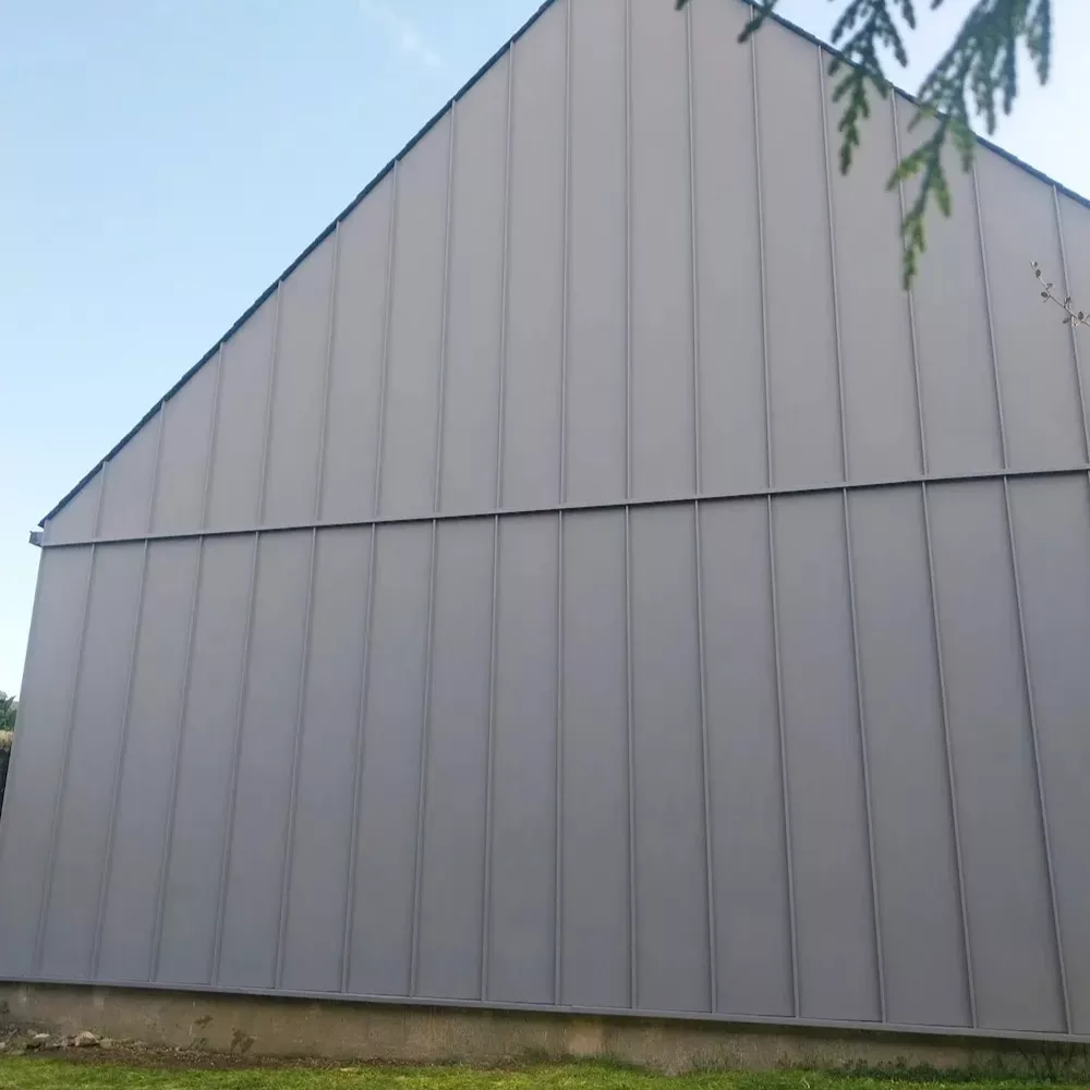 40 pignon complet en zinc alu